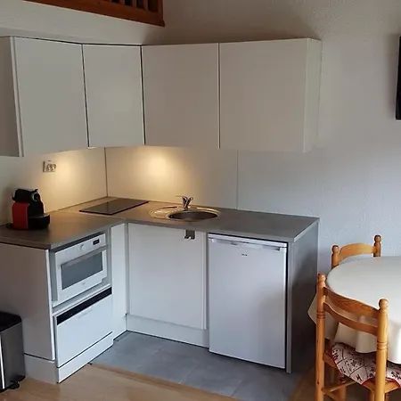 Red Apple Carroz Duplex De Charme Wifi Parking Balcon Tv Ski-bus * Les Carroz d'Araches